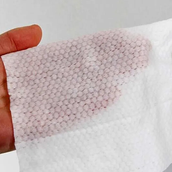 Flushable Toilet Wipes 2